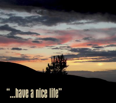 '...have a nice life' David Roberts tribute album cover